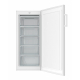 Gefrierschrank Amica C